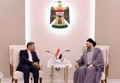 دیدار معاون عراقچی با حکیم در عراق/ تاکید بر ثبات منطقه - تسنیم