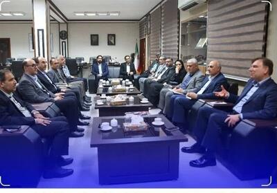 توسعه شبکه فیبرنوری از اولویت‌های بوشهر در سال جاری است - تسنیم