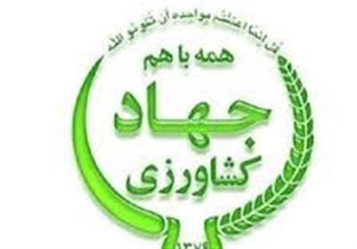 بهجت حقیقی سکان‌‌دار مدیریت جهاد کشاورزی فارس شد - تسنیم