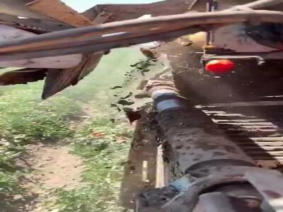 زیباییِ کار دستگاه برداشت گوجه فرنگی