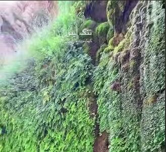 تنگ لیتون در استان کهگیلویه و بویر احمد