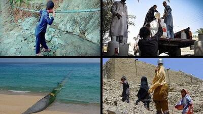 پایان عطش دیرینه جنوب سیستان و بلوچستان/ آب پایدار به خانه‌های مردم نزدیک‌تر شد