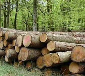شناسایی قاتل جنگل های نمین!