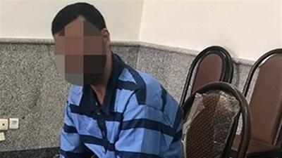 شرور سابقه‌دار تهران دستگیر شد