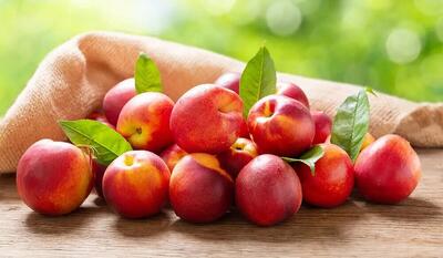 رفع یبوست و تقویت کبد با این میوه معجزه گر + فواید باورنکردنی شلیل