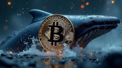 فعالیت نهنگ بیت‌کوین پس از ۱۳ سال / بیت‌کوین بخریم یا خیر؟