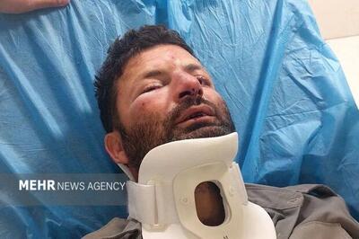 حمله ۳ متخلف به محیط‌بان در شمال تهران
