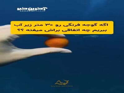 می‌دونستی که رنگ‌ها توی عمق دریا ناپدید می‌شن؟