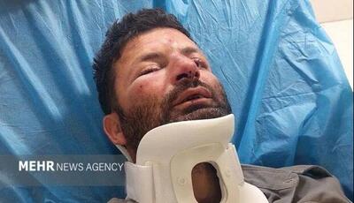 حمله ۳ متخلف به محیط‌بان در شمال تهران