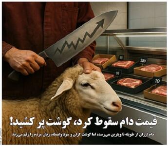 قیمت دام سقوط کرد، گوشت پر کشید!