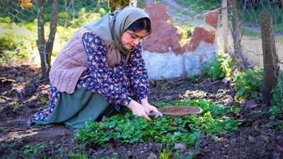 پخت خورشت کدو حلوایی توسط بانوی روستایی (فیلم)