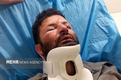 خبر جدید؛ حمله وحشیانه ۳ متخلف به یک محیط‌بان در شمال تهران