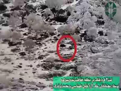 ثبت تصاویر دو قلاده پلنگ ایرانی در منطقه حفاظت شده سبزکوه
