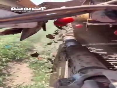 زیباییِ کار دستگاه برداشت گوجه فرنگی