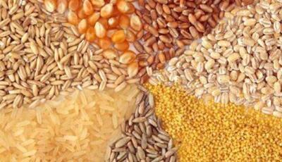 عرضه‌کننده نهاده دامی در میاندوآب نقره‌داغ شد