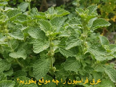 عرق فراسیون را چه موقع بخوریم؟ مقدار مصرف برای پریود شدن و تنبلی تخمدان