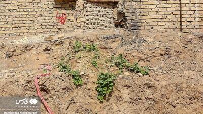 کشف اشیای تاریخی در اصفهان