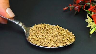 طرز تهیه دمنوش گیاهی لاغری فوری / لاغری سریع را طبیعی تجربه کن