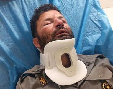 دومین حمله به حافظان طبیعت در شمیرانات/ این بار ضرب و شتم یک محیط‌‌بان