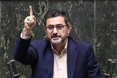 استقبال زارعی، نماینده رادیکال، از لغو کنسرت همایون در میدان آزادی: درود به دکتر زاکانی!
