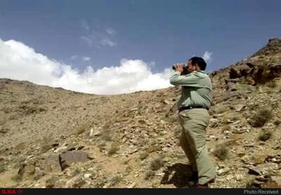 محیط بان فارسی در پی حمله شکارچیان مجروح  شد