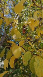 فال و طالع بینی امروز 15 شهریور