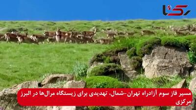 فاز سوم آزادراه تهران-شمال، تهدیدی برای زیستگاه غنی مرال در البرز مرکزی + فیلم
