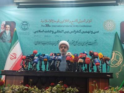 شهریاری: وحدت انسانی فراتر از وحدت اسلامی است، ما در فلسطین از حقوق انسان‌ها دفاع می‌کنیم