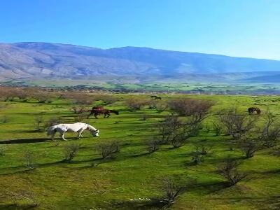 دشت سوسن در خوزستان