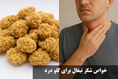 خواص شکر تیغال برای گلو درد + نحوه مصرف شکر تیغال برای سرفه