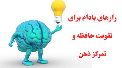 رازهای بادام برای تقویت حافظه و تمرکز ذهن