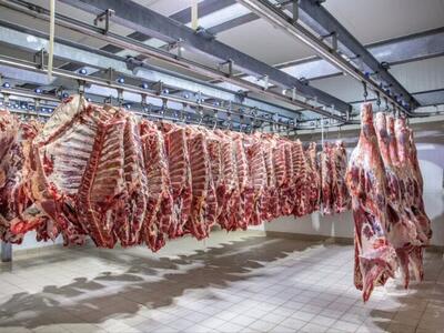 واردات گوشت از کنیا جایگزین مبادی اصلی نمی‌شود