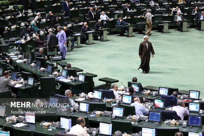 نمایندگان مجلس مجازات جاسوسی را سنگین‌تر کردند