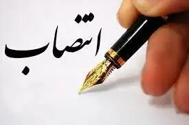 مدیر امور بین‌الملل شرکت ملی نفت ایران منصوب شد