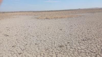 ‌کارگروه ملی برای احیای تالاب بندعلیخان ورامین تشکیل می‌شود/ تهدید ریزگردها برای چهار استان