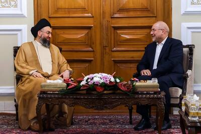 نقش ایران و عراق در ایجاد انسجام میان امت اسلامی بی‌بدیل است