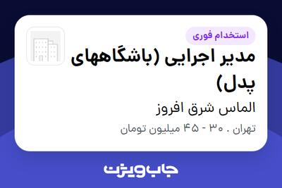 استخدام مدیر اجرایی (باشگاههای پدل) در الماس شرق افروز