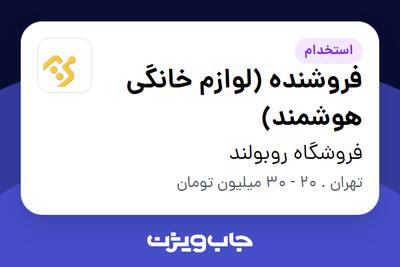 استخدام فروشنده (لوازم خانگی هوشمند) در فروشگاه روبولند