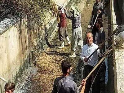 ضدعفونی و آیش‌گذاری مجتمع پرورش ماهی سیروان در کردستان آغاز شد