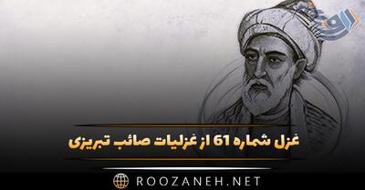 غزل شماره ۶۱ از غزلیات صائب تبریزی؛ نیست از سنگِ ملامت غم سرِ پر شور را ...