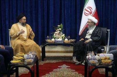 رئیس مجمع تشخیص مصلحت: هدف از فشار بر حشدالشعبی، تشکیل «اسرائیل بزرگ» است | شفقنا، آخرین اخبار ایران و جهان