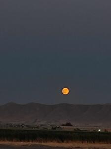 عکس: تصویری از ماه امشب هنگام طلوع