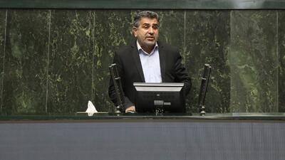 بابایی کارنامی: کاغذ و چوب مازندران به دلیل به توجهی دولت و عدم نقدینگی تولید ندارند