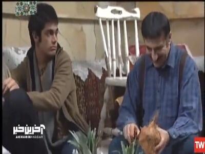  نارگیلو با جوجه تیغی اشتباه گرفت
