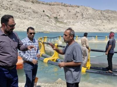 آغاز ذخیره‌سازی بچه‌ماهیان کپور در قفس‌های دریاچه سد مارون