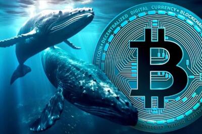 بزرگترین فروش نهنگ‌های بیت‌کوین از سال 2022؛ فشار بر بازار و نقش حمایتی ETFها