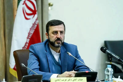 درخواست غریب آبادی از دولت کره جنوبی درباره اقدام نامشروع اروپایی‌ها در فعال‌سازی اسنپ‌بک