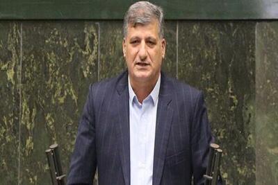 انتظار نماینده مجلس از همتایان اروپایی‌اش/ با وحدت کلمه به دنبال حقوق خود هستیم