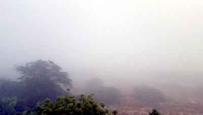 رطوبت هوا در استان بوشهر افزایش می‌یابد