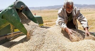 واریزی جدید به گندمکاران اعلام شد | جهان نیوز